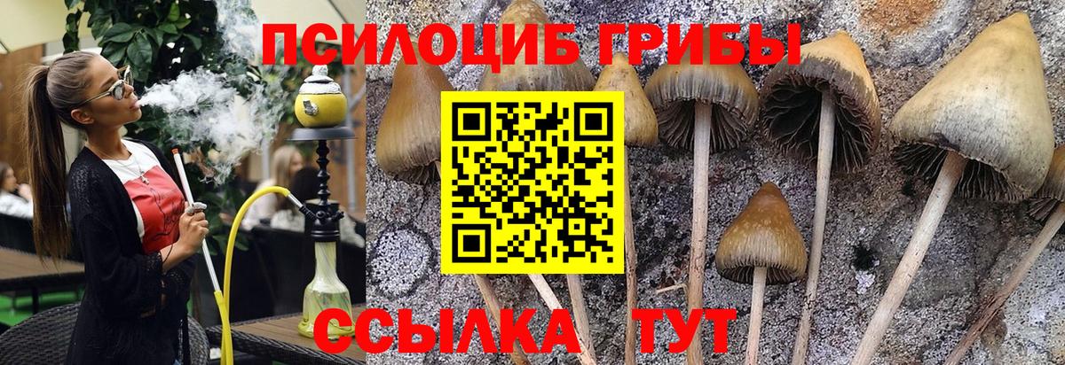 наркота  Галлюциногенные грибы MAGIC MUSHROOMS  Вход с VPN  Галлюциногенные грибы Magic Shrooms  Малоярославец 