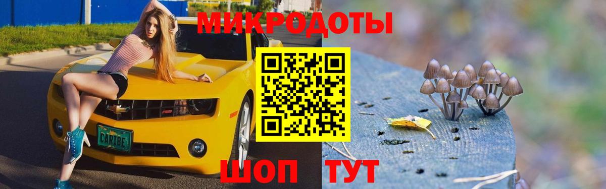 Псилоцибиновые грибы ЛСД Малоярославец